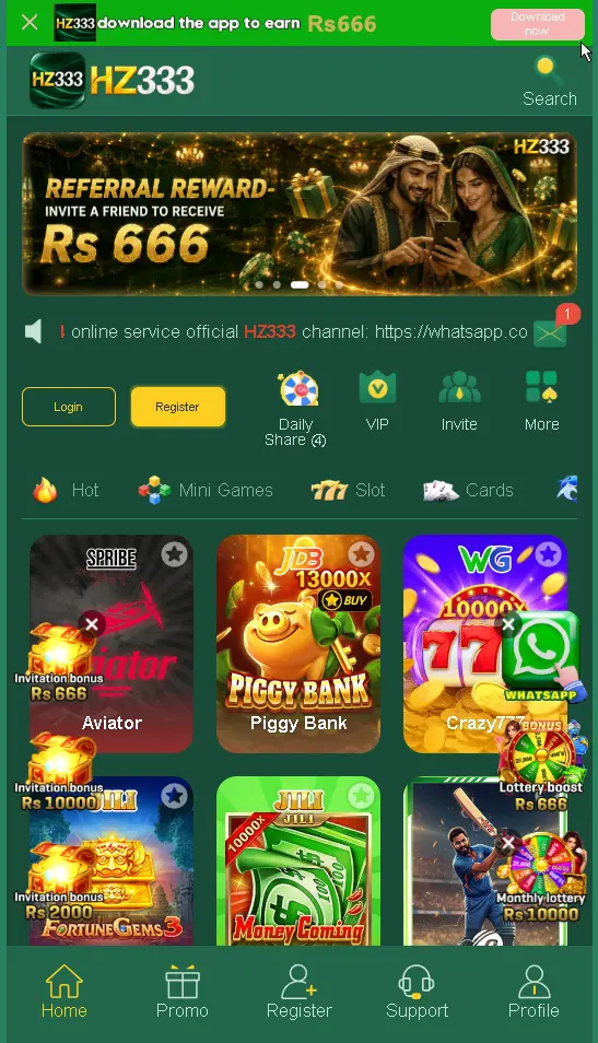 HZ333 game interfaces