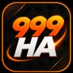 999Ha Game icon