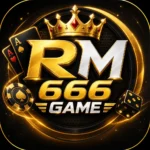 RM666 Game Icon